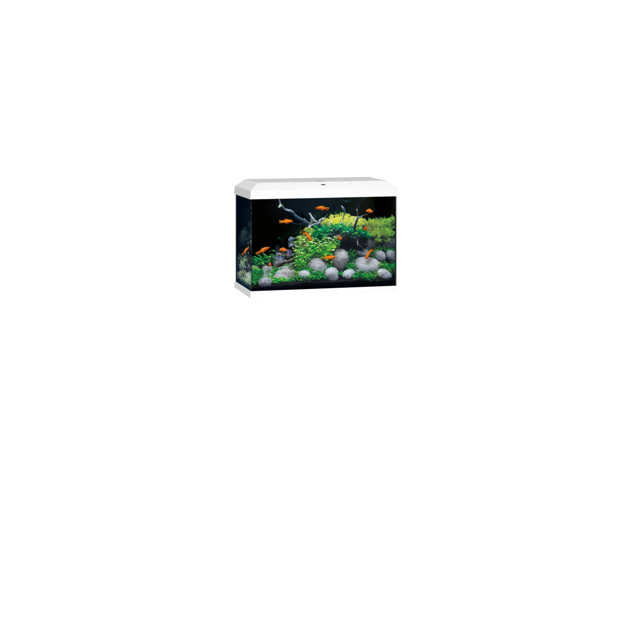 JUWEL Primo 70 2.0 LED Aquarium weiß Aquarium Set