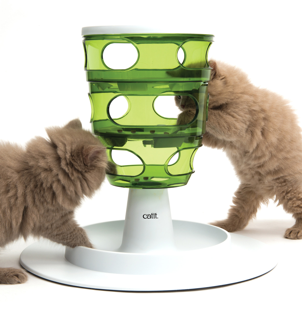 Zwei flauschige, beige Kätzchen spielen mit dem Catit Senses 2.0 Futterbaum, einem interaktiven Futterspender für Katzen. Der grüne Turm mit mehreren Öffnungen fördert die geistige und körperliche Aktivität, während die Katzen nach Futter suchen. Ideal fü