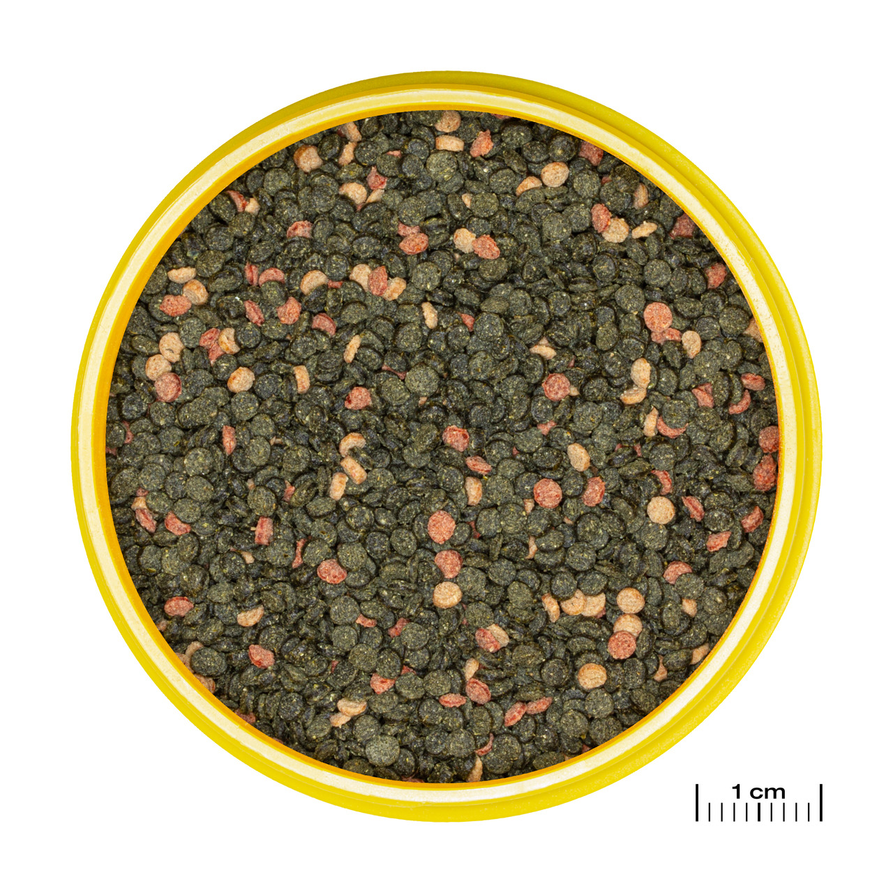 Runde Dose mit gelbem Rand, gefüllt mit JBL NovoPleco XL, einem Hauptfutter für pflanzenfressende Bodenfische wie Welse. Die Pellets sind grün mit roten und beigen Akzenten. Zielgruppe: Aquarienfische. Menge: 250 ml. Fördert gesundes Wachstum und stärkt d