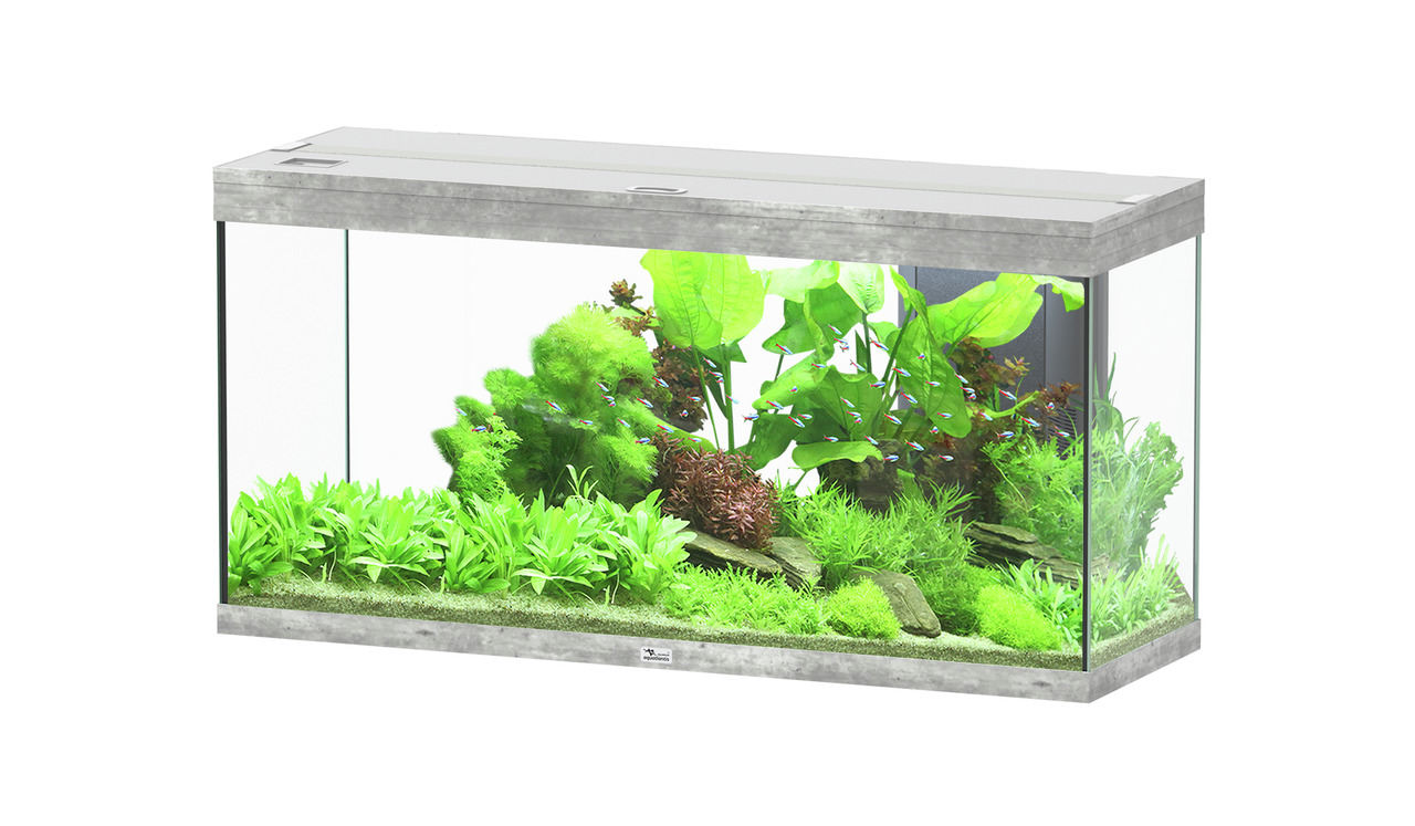 Aquatlantis Style LED 100 Aquarium, rechteckig, Betonoptik, für Aquaristik-Fans, inkl. Pflanzen, Steine, trop. Fische.