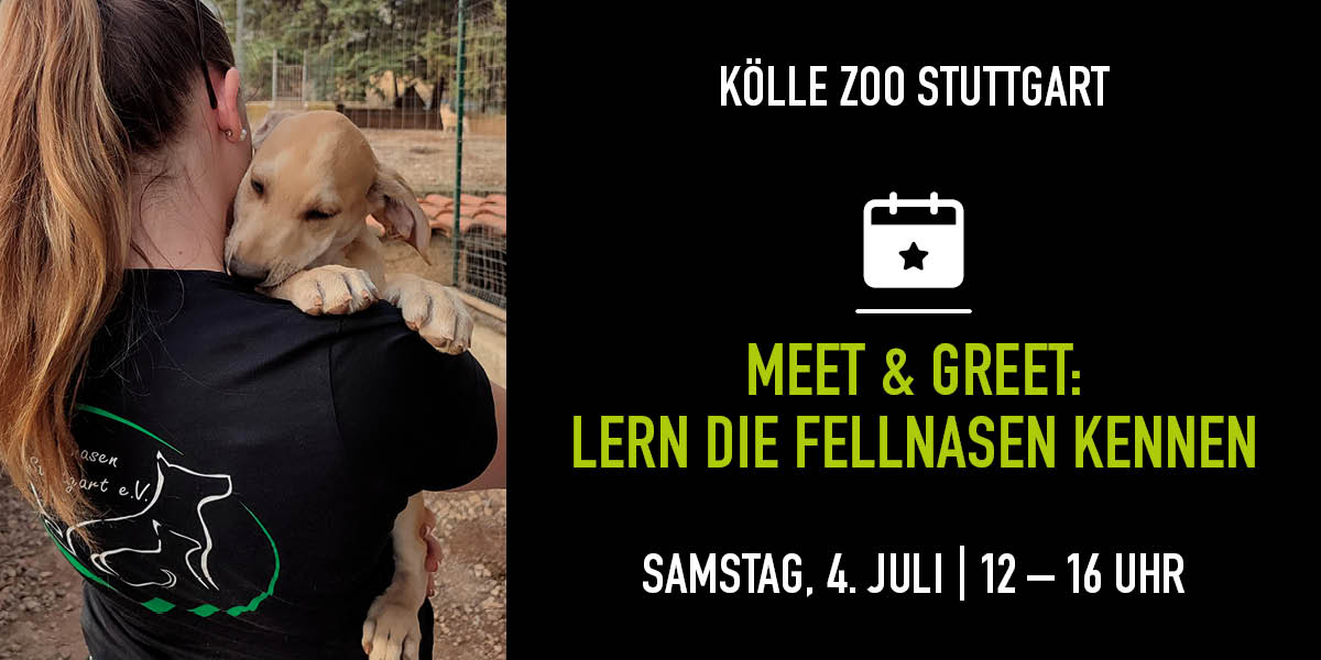 Frau mit Hund auf dem Arm, Infos zu Meet & Greet im Kölle Zoo Stuttgart
