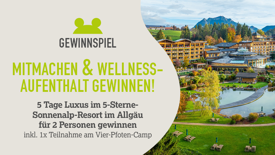 2026 Vier Pfoten Camp Blog Banner1 920x518px%202 %281%29