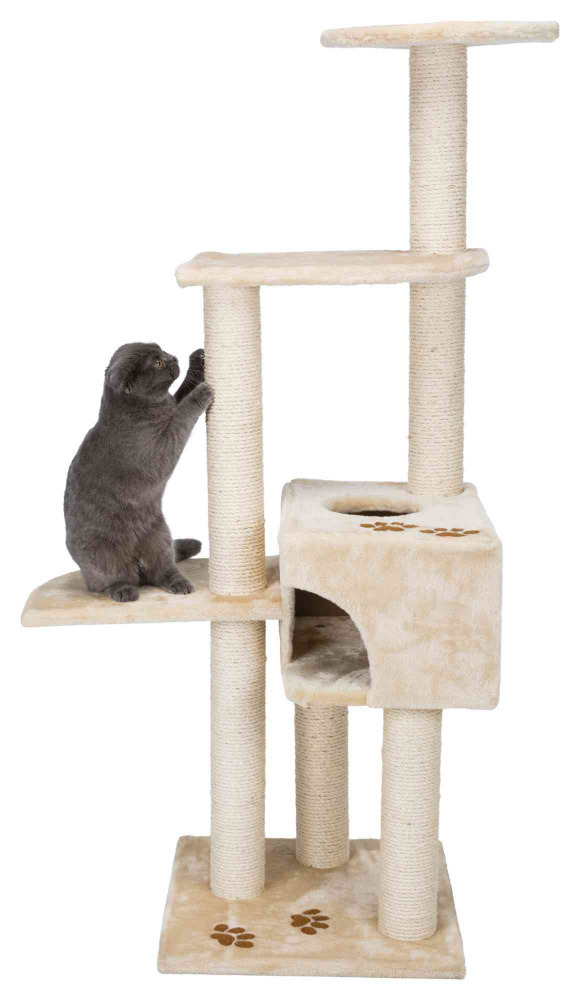 Ein cremefarbener Kratzbaum der Marke TRIXIE, Modell „Filou“, geeignet für Katzen. Der Kratzbaum bietet mehrere Ebenen, eine Höhle und Sisalstämme zum Kratzen. Auf der Bodenplatte und den Plattformen sind Pfotenmotive aufgedruckt. Eine graue Katze nutzt d