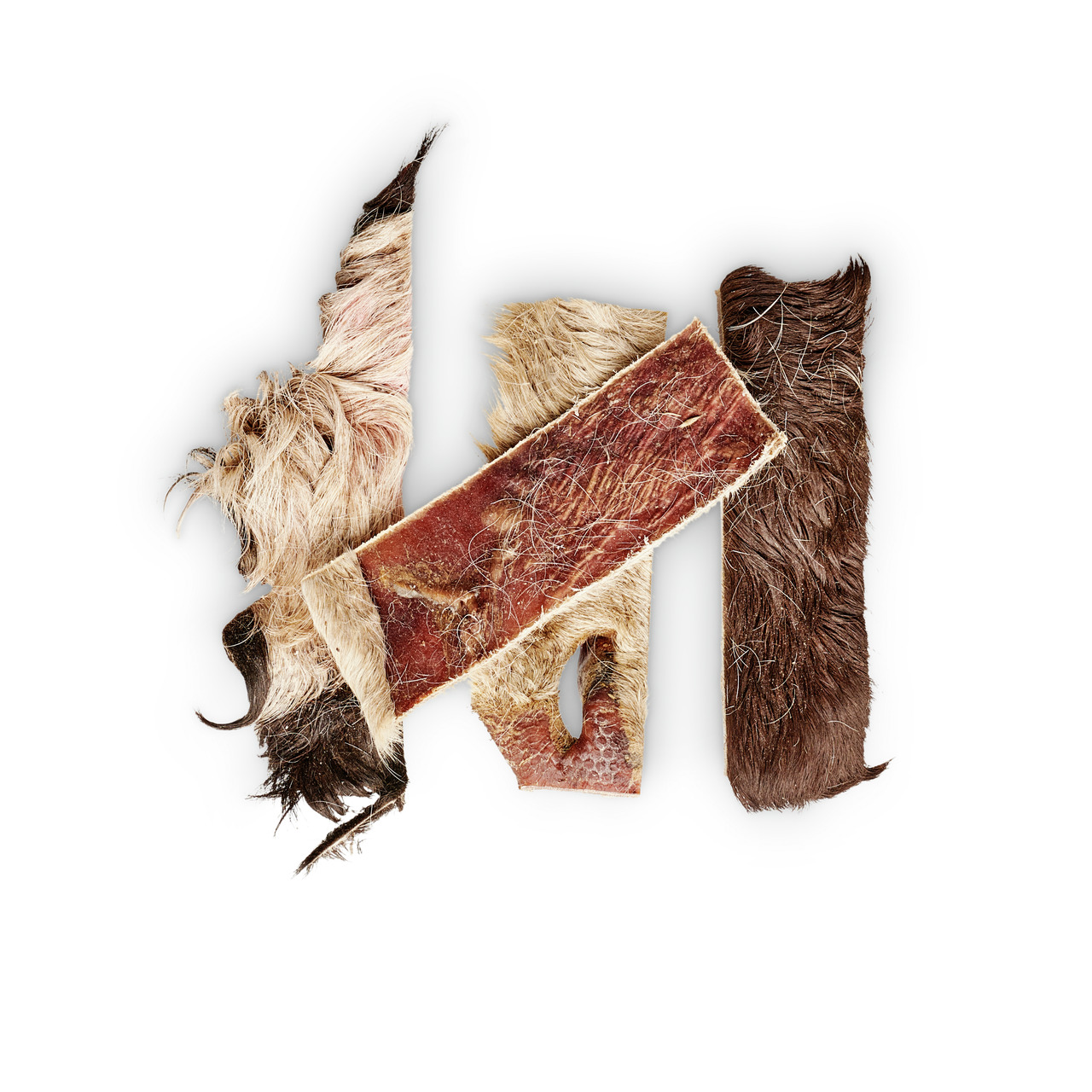 Das Bild zeigt natürliche Kauartikel der Marke Lottis Häppchen, speziell getrocknete Rinderkopfhaut mit Fell. Dieses Produkt ist für Hunde geeignet und dient als gesunder Snack zur Zahnreinigung. Die Stücke variieren in Form und Größe, mit einer rauen, ha