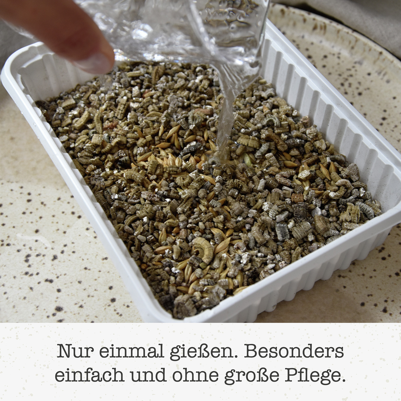 Rechteckige Plastikschale mit Samenmix, Körnern & Substrat. „Nur 1x gießen. Einfach & pflegeleicht.“