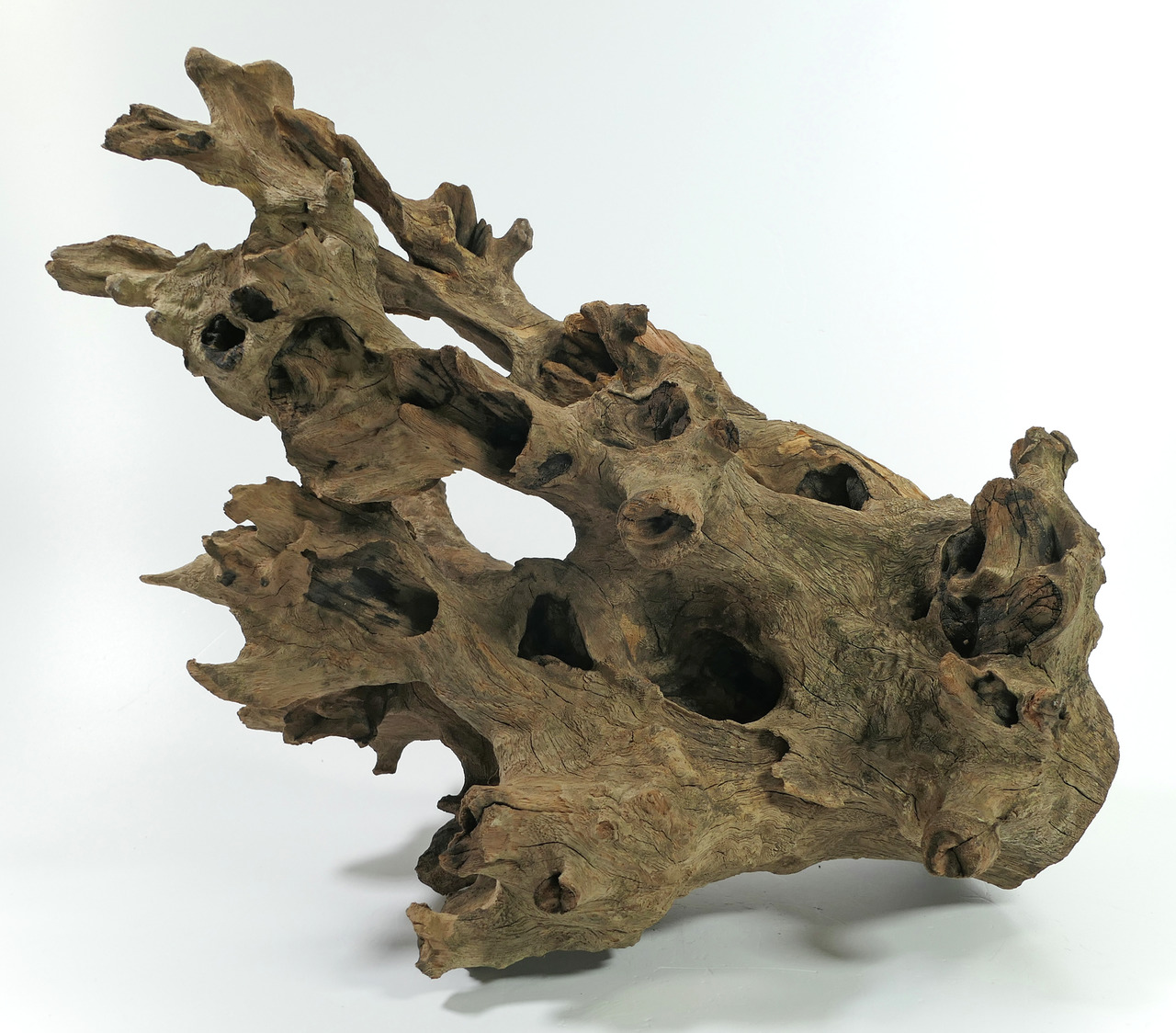 ORBIT Treibholz, für Aquarien/Terrarien, unregelmäßige Struktur, Versteckmglk. für Fische/Reptilien, ideal für naturnahe Umgebung.