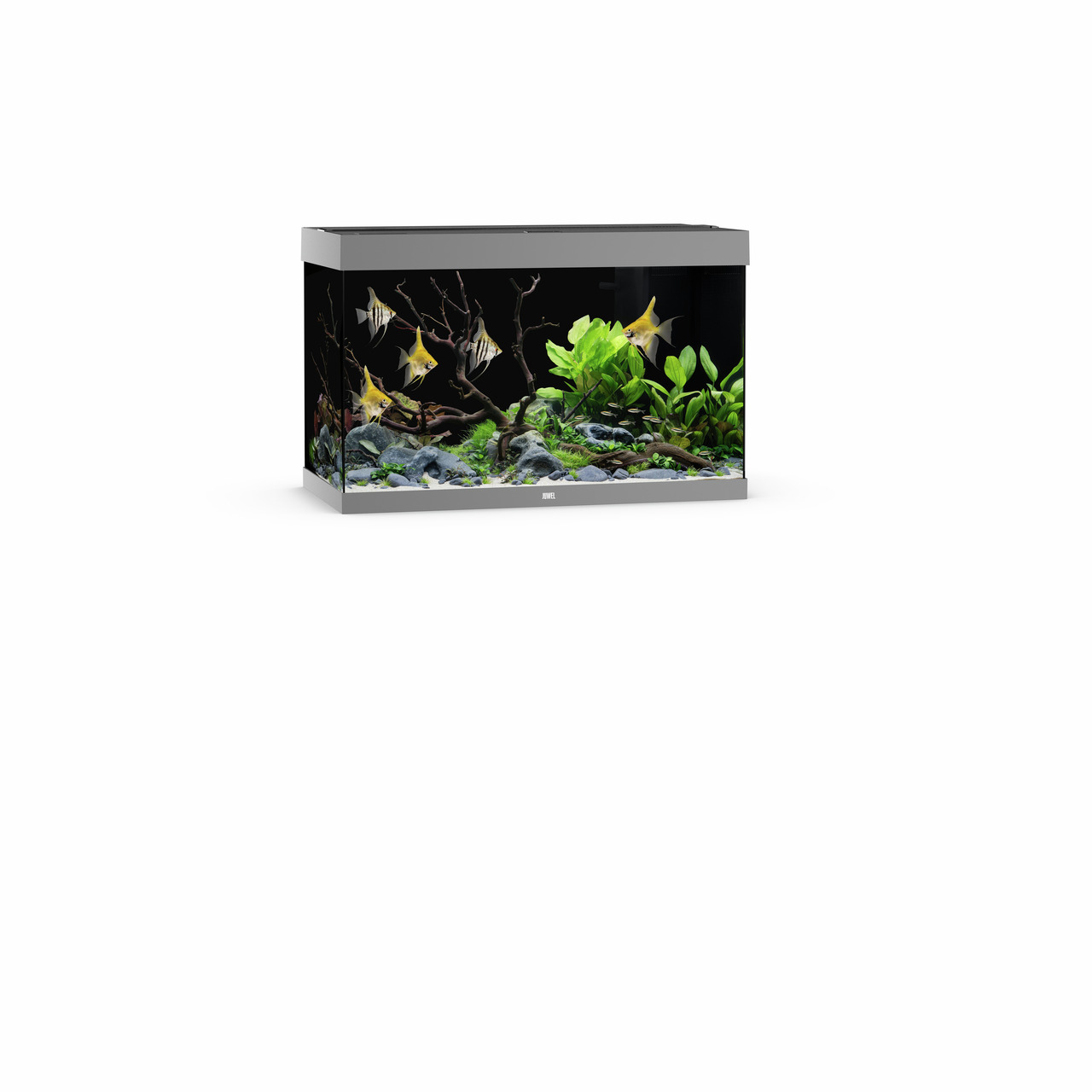 JUWEL Aquarium Rio 180 LED, Grau, für Aquaristik-Fans, mit moderner LED-Beleuchtung, Platz für Fische-Pflanzen, 180 Liter.