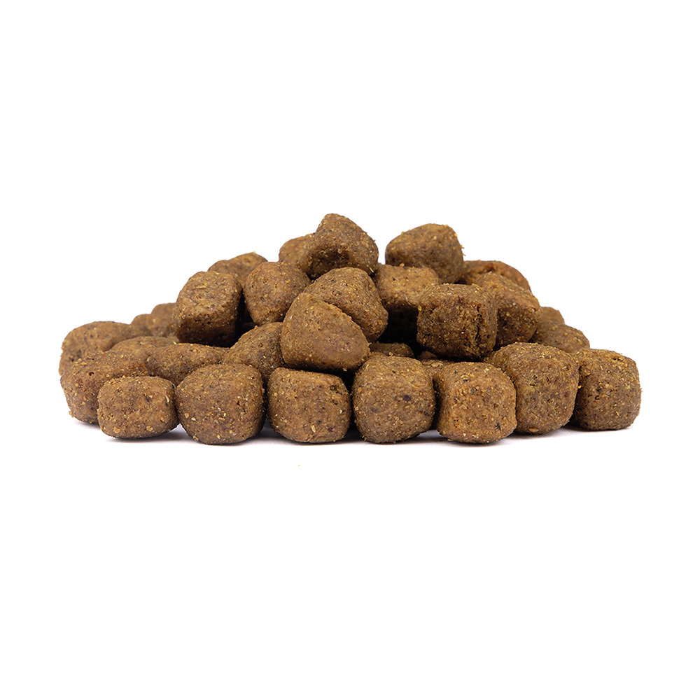Wolfsblut Trockenfutter für ausgewachsene Hunde, Geschmacksrichtung Wildfleisch, würfelförmige Kroketten, Menge nicht erkennbar.