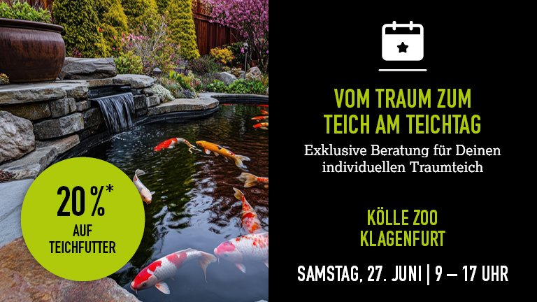 270626 Teichtag Klagenfurt Mobile 768x432px