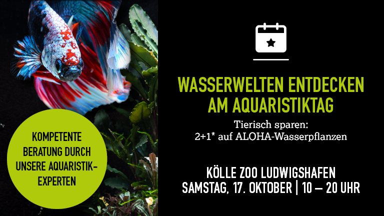 171026 Aquaristiktag Ludwigshafen Mobile 768x432px
