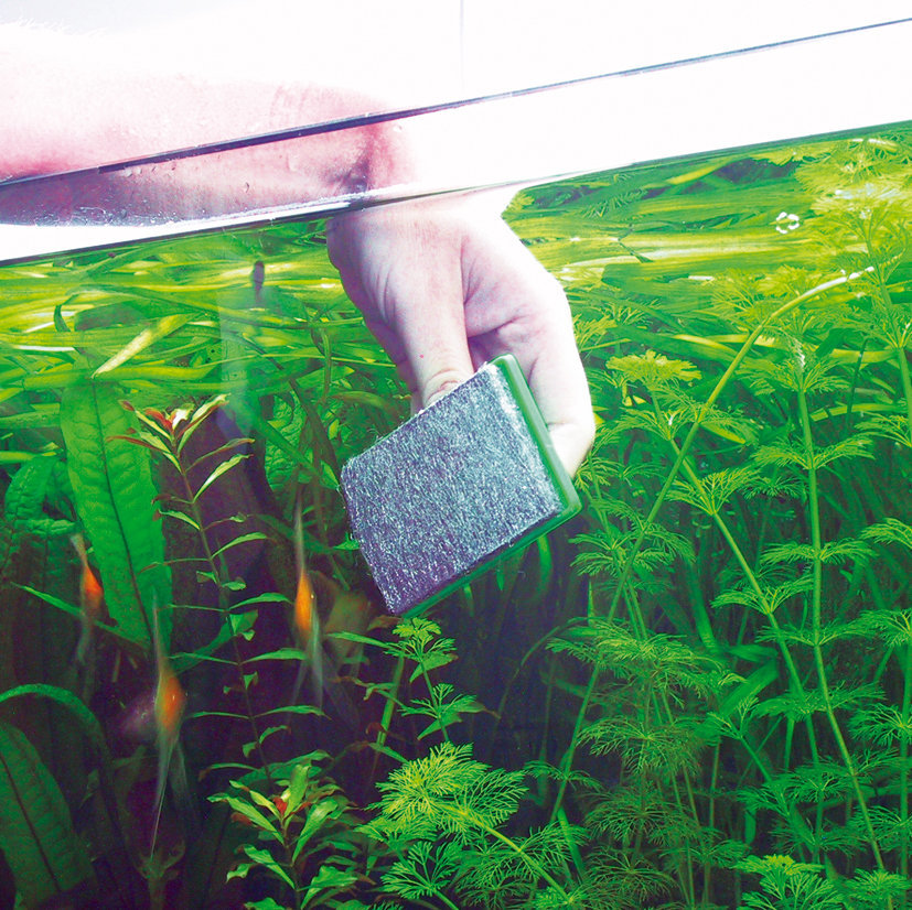 6136000 2 1 300 0 02452 7b81c242d0a5f543