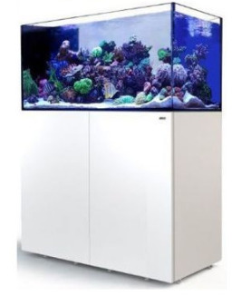 Red Sea REEFER 500 G2+ Peninsula DLX Weiß 2xRL160S Aquarium mit Unterschrank