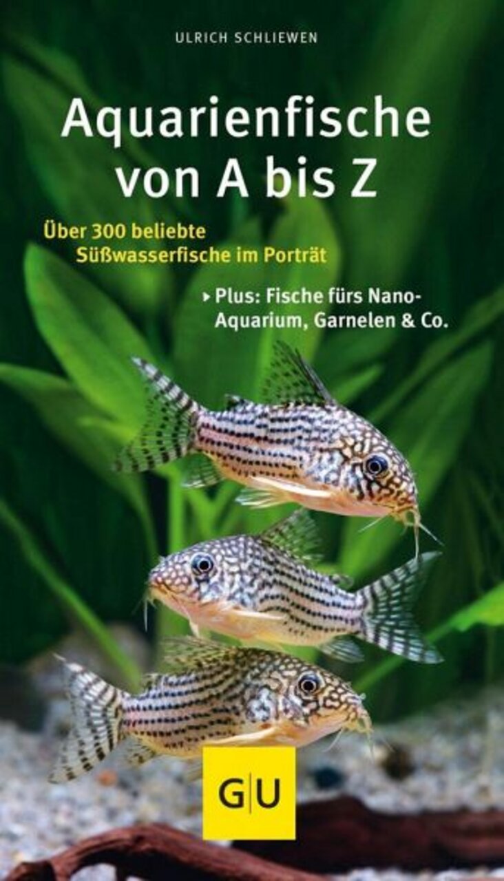 Buch "Aquarienfische von A bis Z" v. Ulrich Schliewen (GU Verlag): Porträts 300+ Süßwasserfische, Tipps für Nano-Aquarien & Garnelen.