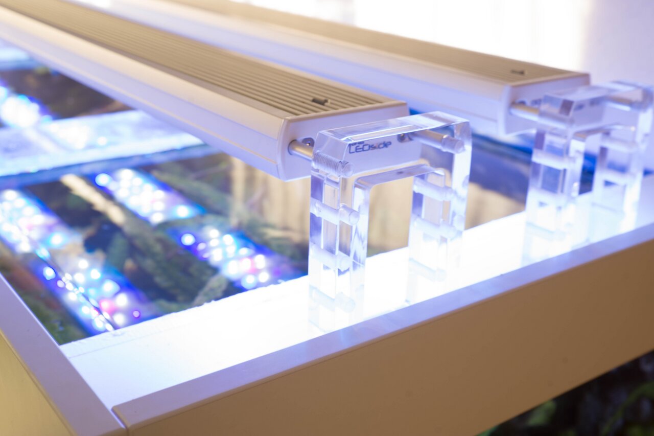 aquaLEDs LEDside: LED-Aquarienbeleuchtung, helles Licht f. optimale Unterwasserwelt, auf Halterungen montiert.