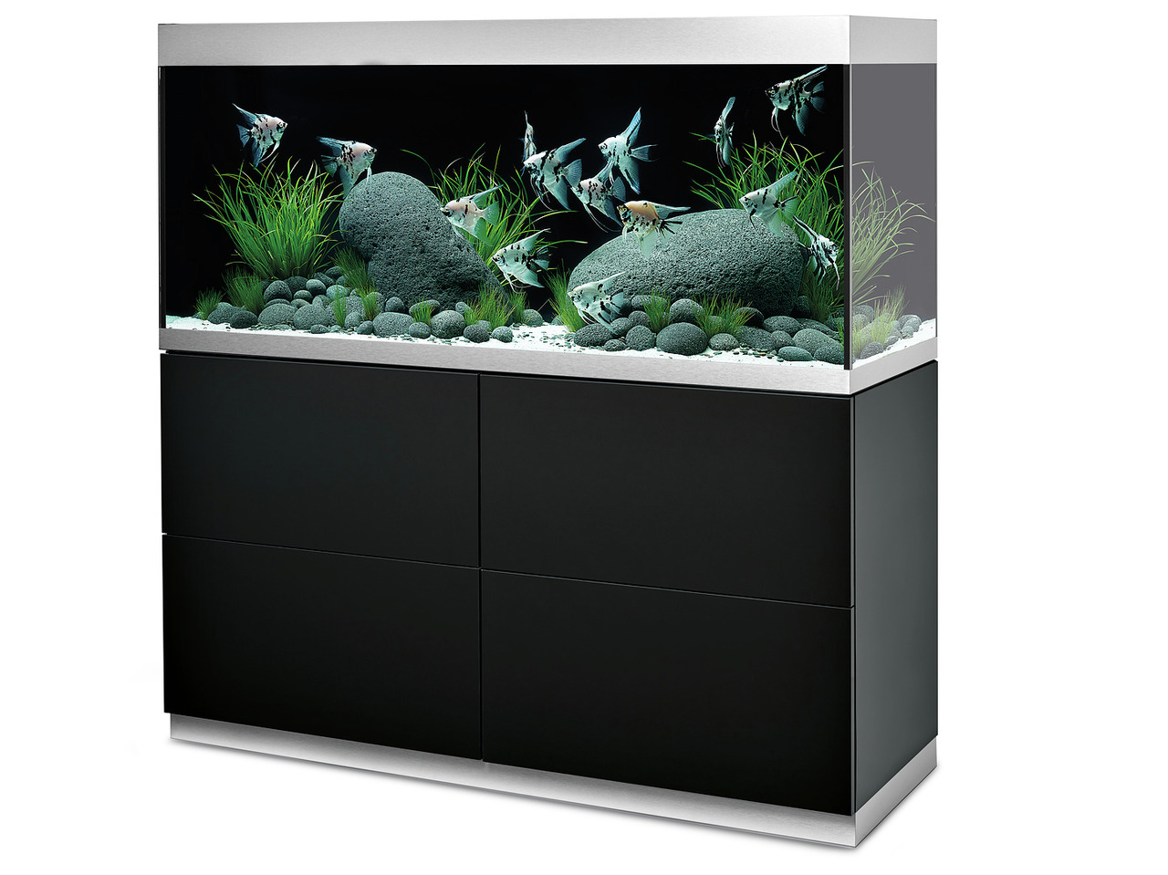 Oase HighLine Aquarium 200: Hochwertiges Aquarium (Süßwasser), modernes Design, schwarz-silber, inkl. Pflanzen, Steine, Skalare.