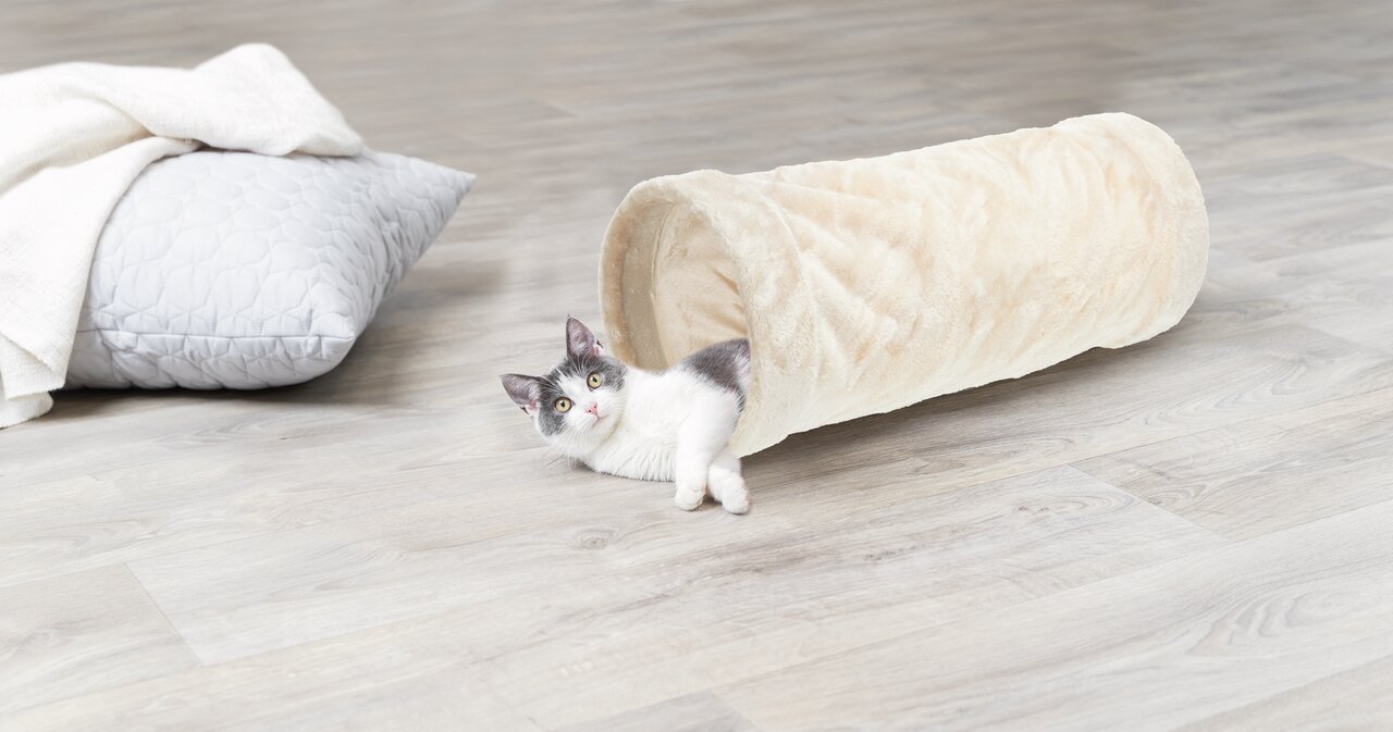 Weicher TRIXIE Katzentunnel aus Plüsch in Beige, ideal für Katzen zum Spielen und Verstecken, abgebildet mit einer jungen Katze.