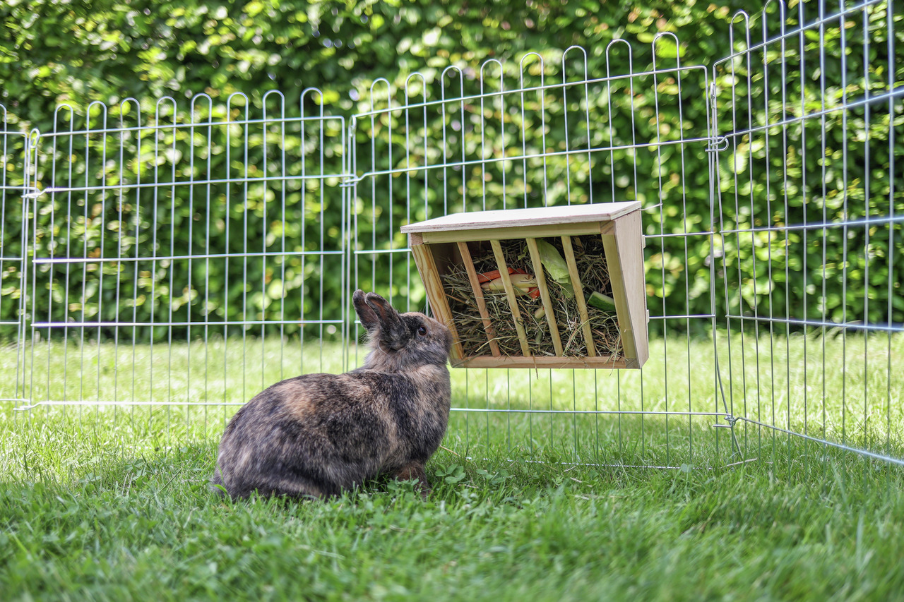 KERBL Holz-Heuraufe, für Kaninchen, gefüllt mit Heu & Gemüse, artgerechte Fütterung, ideal für Freilaufgehege.
