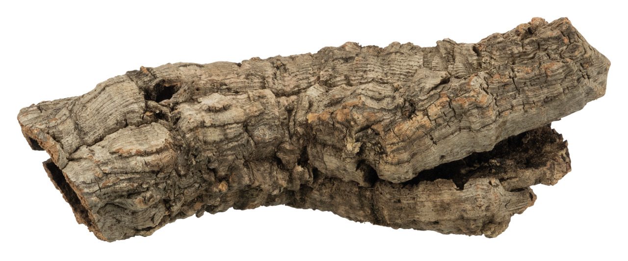 TRIXIE Korkstück, für Reptilien, Amphibien & Nagetiere, Versteck/Klettern, fördert Verhalten, natürliche Optik, rau, unregelmäßig.