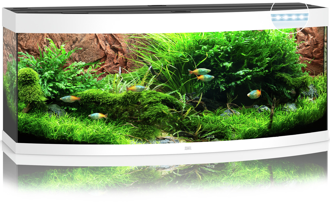 Das Bild zeigt das JUWEL Vision 450 LED Aquarium, ein hochwertiges Aquarium für Aquaristik-Enthusiasten. Es ist mit einer gebogenen Frontscheibe ausgestattet, die eine beeindruckende Panoramaansicht bietet. Das Aquarium enthält eine üppige Unterwasserland