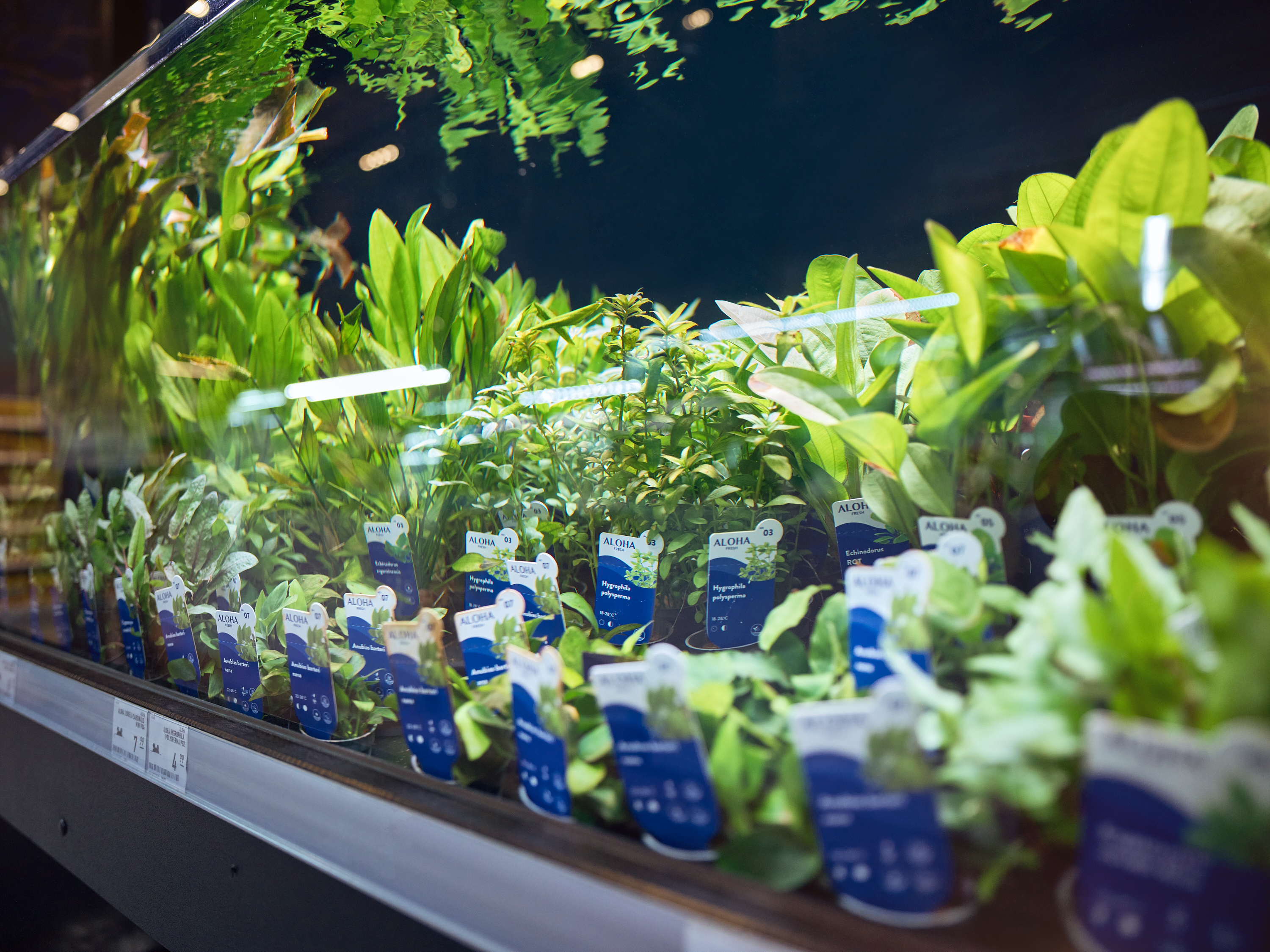 20250926 Koellezoo 00683