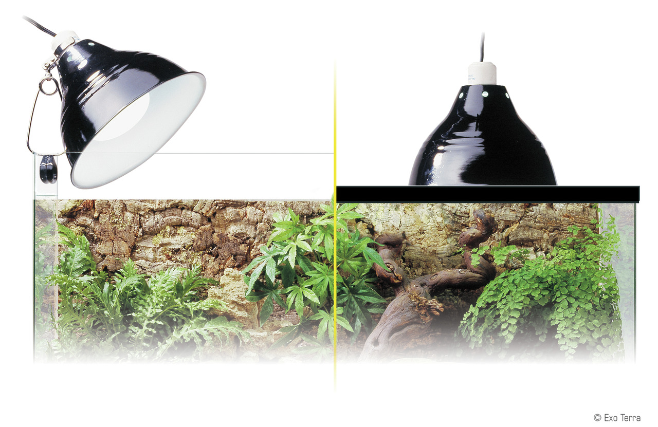 Exo Terra Glow Light 21cm Porzellan-Klemmlampe und Leuchtreflektor Terrarienbeleuchtung