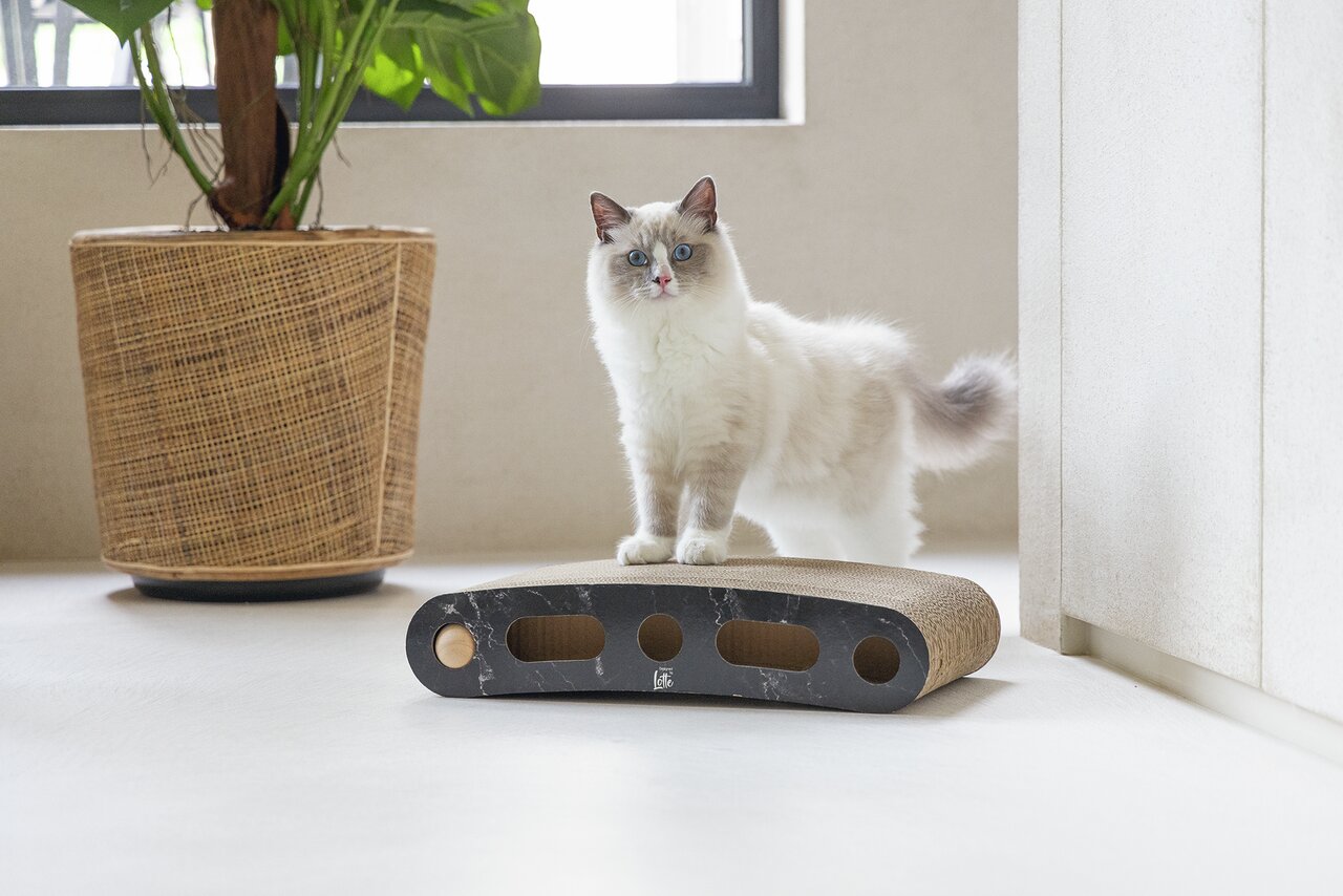 Designed by Lotte Katzensofa für Katzen, stilvoll und bequem, Farbe: Grau, Maße: ca. 50x40x20 cm.