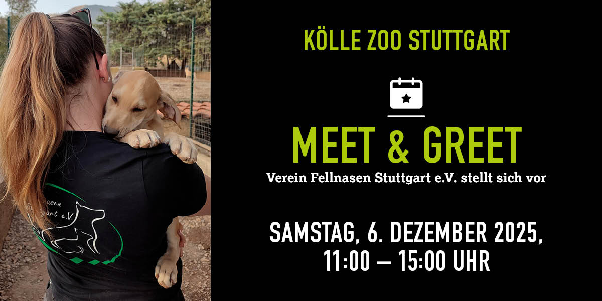 Frau mit Hund auf dem Arm, Infos zu Meet & Greet im Kölle Zoo Stuttgart am 06. Dezember 2025.
