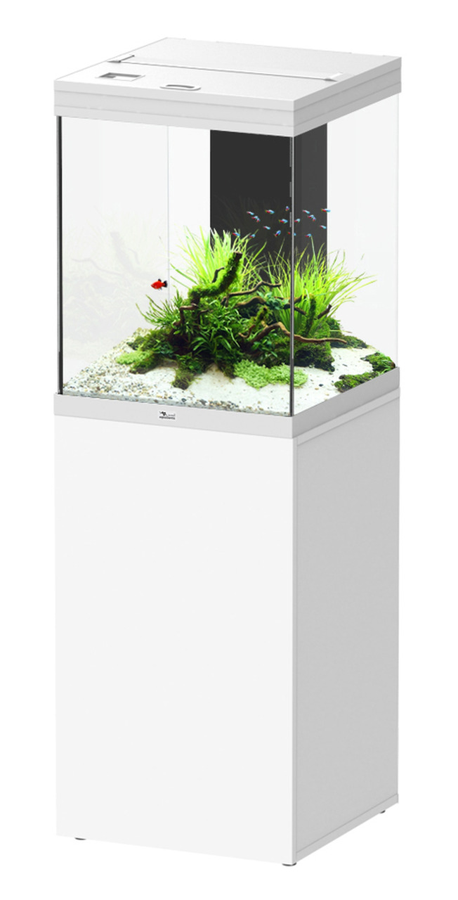 Das Bild zeigt ein modernes Aquarium der Marke Aquatlantis, Modell Style LED 60, mit einem weißen Unterschrank. Es ist für Aquaristik-Enthusiasten geeignet und bietet eine stilvolle Lösung für die Haltung von Fischen. Das Aquarium enthält eine üppige Unte