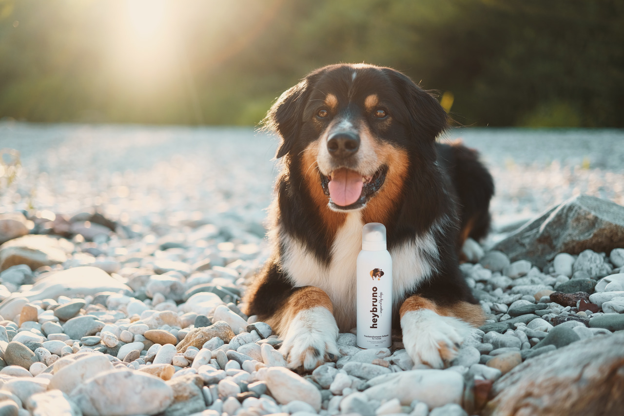 heybruno Fellpflege-Spray, 200 ml, für Hunde: Pflegt & schützt das Fell. Perfekt für Hundebesitzer, die Qualität schätzen.