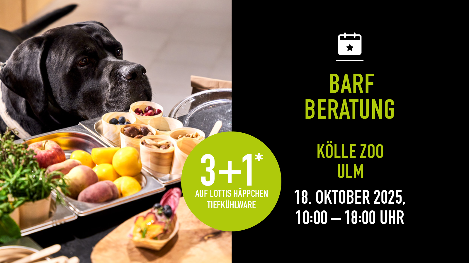 Hund schnuppert an BARF-Proben