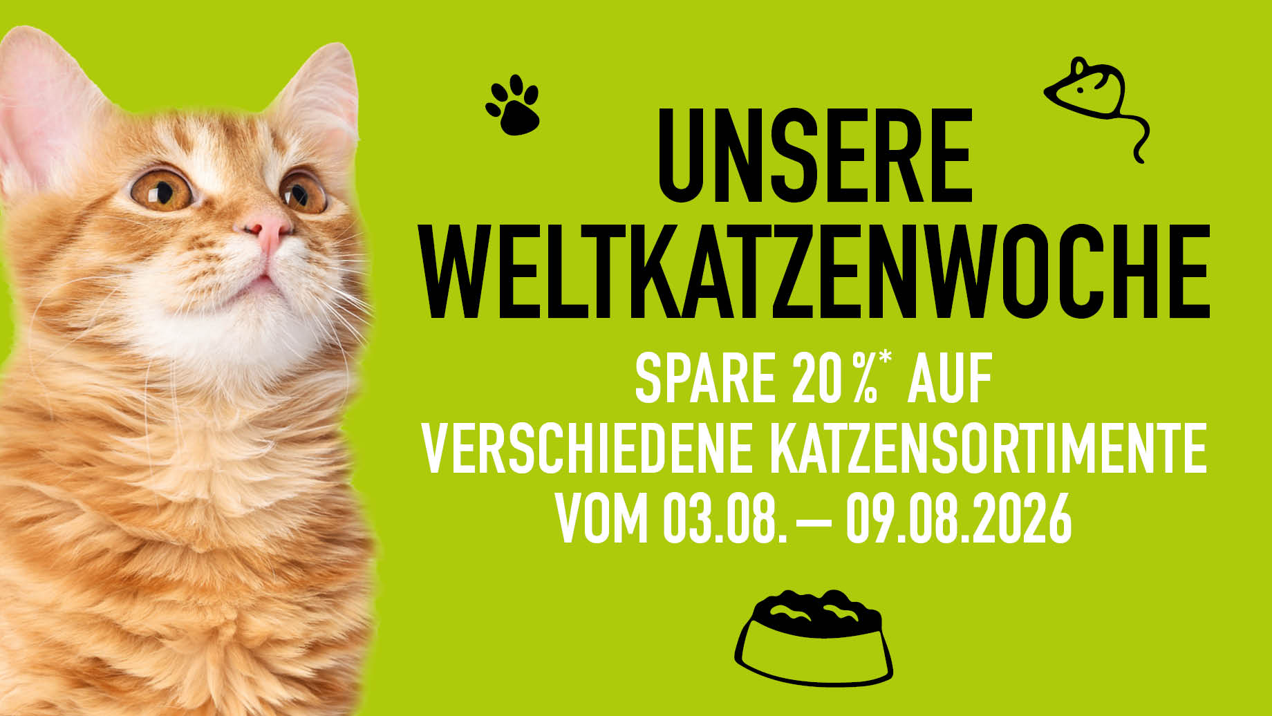 2026 Weltkatzenwoche Blog Banner 920x518px %281%29