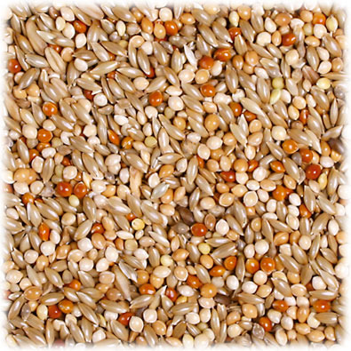 JR FARM Wellensittichfutter, für Wellensittiche, nährstoffreich, unterstützt Gesundheit & Vitalität, Mischung aus Saaten, nat. Farben.