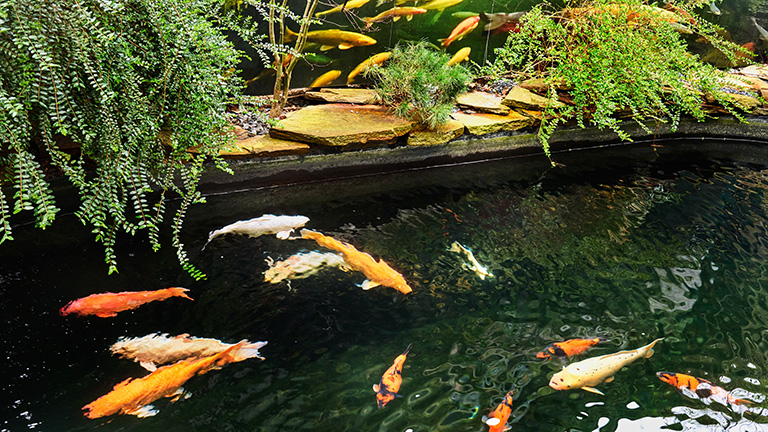 Social Dsc6889 768x432px