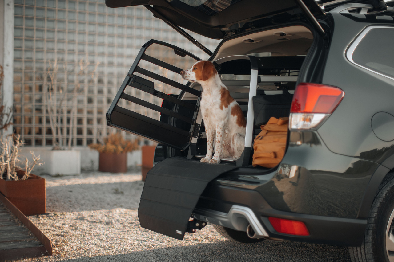 Thule Hundetransportsystem: Stabile Metallkonstruktion für Sicherheit & Komfort mittelgroßer Hunde im Auto.