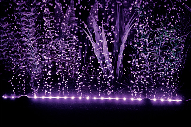 HOBBY Hobby Bubble Air LED: LED-Luftsprudler f. Aquarien, violette Lichteffekte, Sauerstoffversorgung, f. Süß-/Meerwasser.