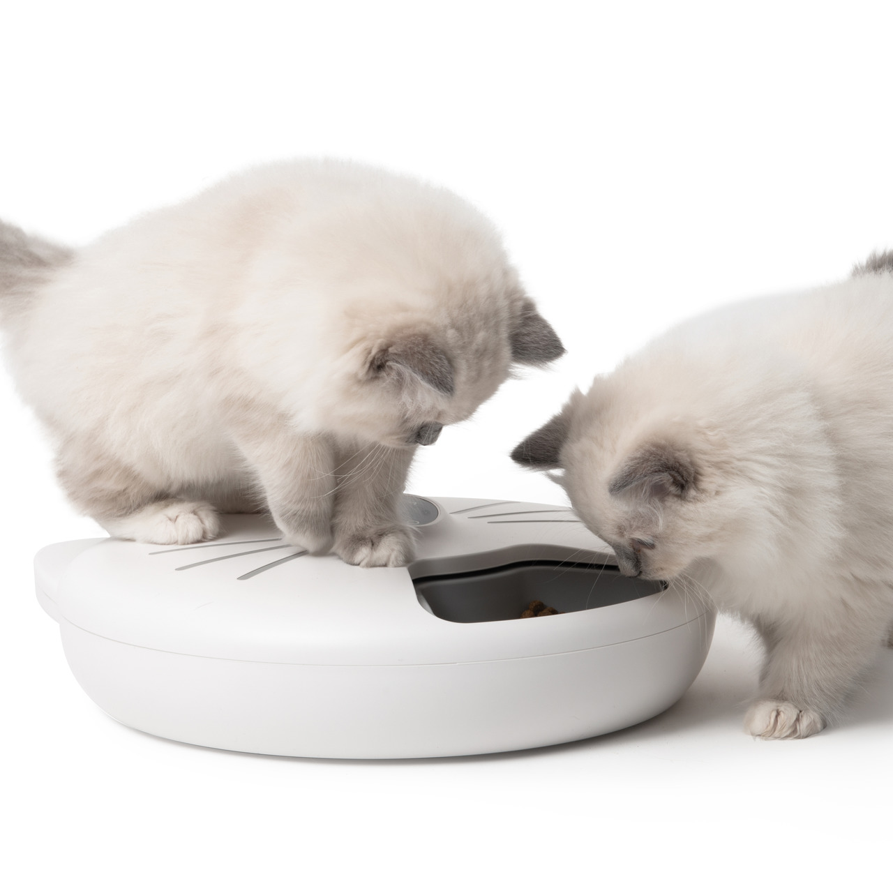 Catit PIXI Smart Futterautomat, Katzen, weiß, katzenförmig, präzise Portionskontrolle, intelligente Fütterungslösung.