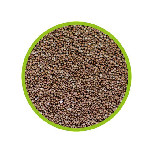 HOBBY Futterpellets für Zierfische, braun, ideal für ausgewogene Ernährung, gleichmäßig geformt, Menge nicht erkennbar.