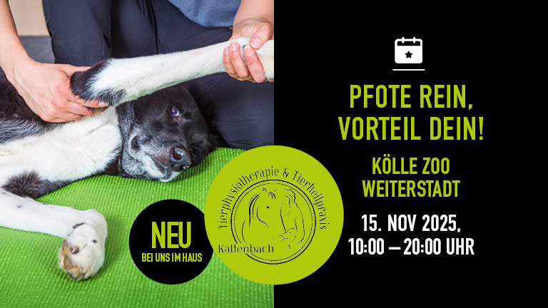 Web 151125 Einzugsevent Tierheilpraxis Weiterstadt Mobile