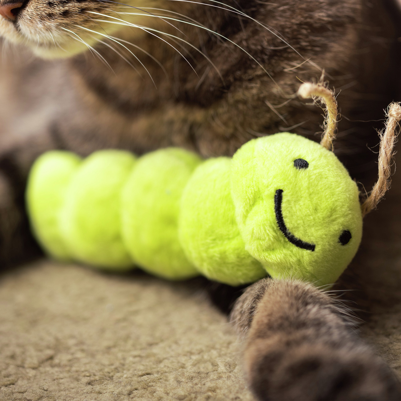 Allpets Plüschraupe für Katzen, grün, mit Juteseil-Fühlern, freundl. Gesicht, ideal zum Spielen.