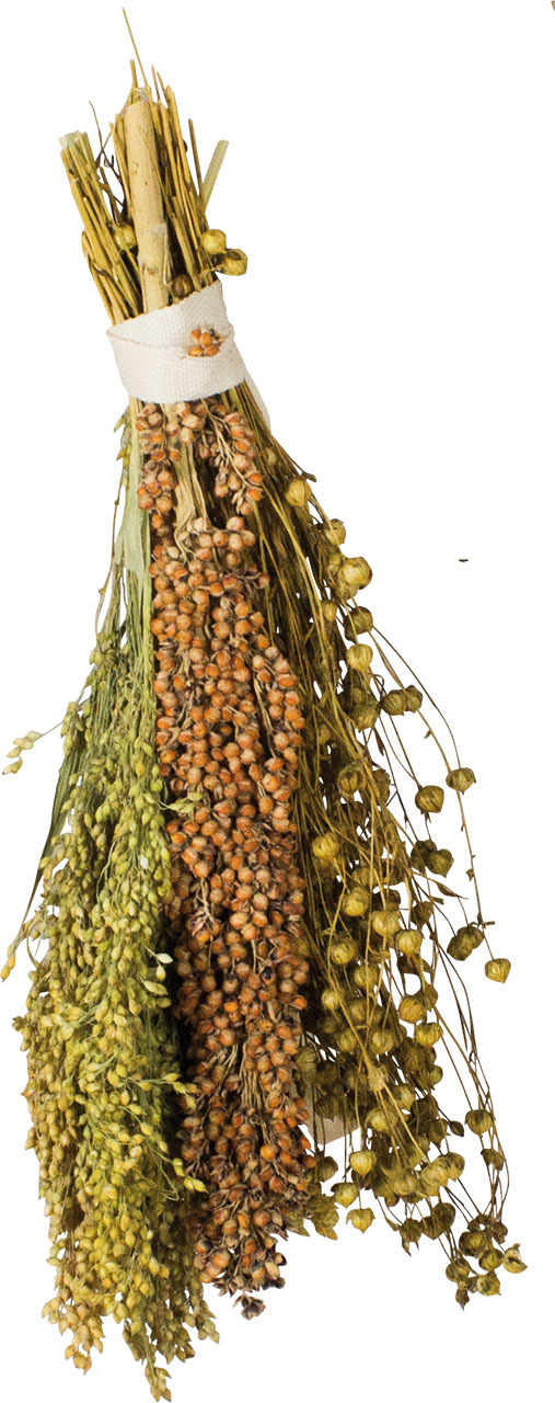 JR FARM Nager-Strauß, Ergänzungsfutter f. Kaninchen, Meerschweinchen & Hamster, Hirse & Leinsamen, gesunde Beschäftigung, ca. 100 g.