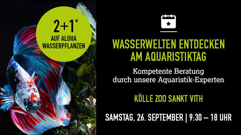 260926 Aquaristiktag Sanktvith Mobile 768x432px