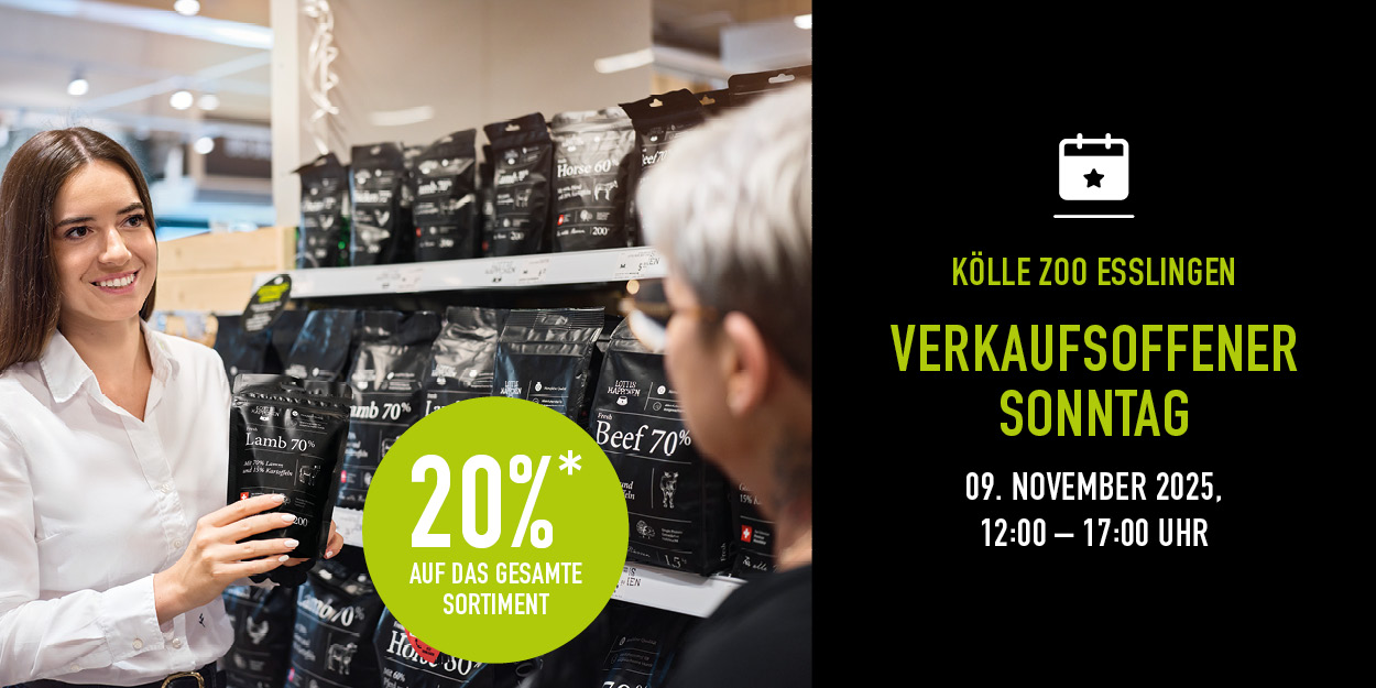 Zwei Frauen sprechen vor Regalen, Text zu verkaufsoffenem Sonntag und Rabatt.