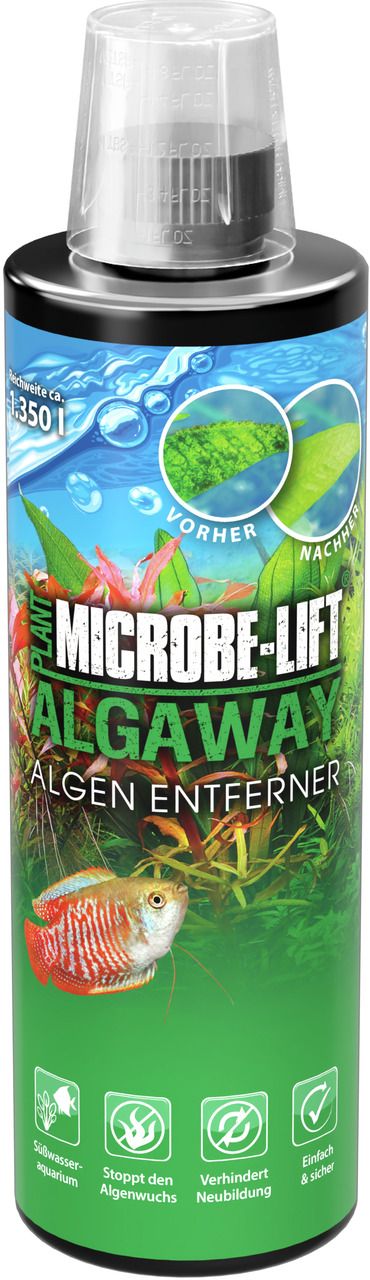 Das Bild zeigt eine Flasche des Produkts „MICROBE-LIFT AlgAway Algenentferner“. Es handelt sich um ein Mittel zur Algenbekämpfung in Süßwasseraquarien. Die Verpackung ist grün mit einem Fischmotiv und zeigt Vorher-Nachher-Bilder. Die Reichweite beträgt ca