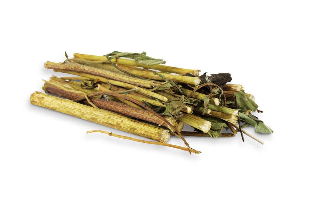 JR FARM Löwenzahn-Sticks, Ergänzungsfutter f. Kaninchen-Meerschweinchen, reich an Ballaststoffen-Vitaminen, 80 g.
