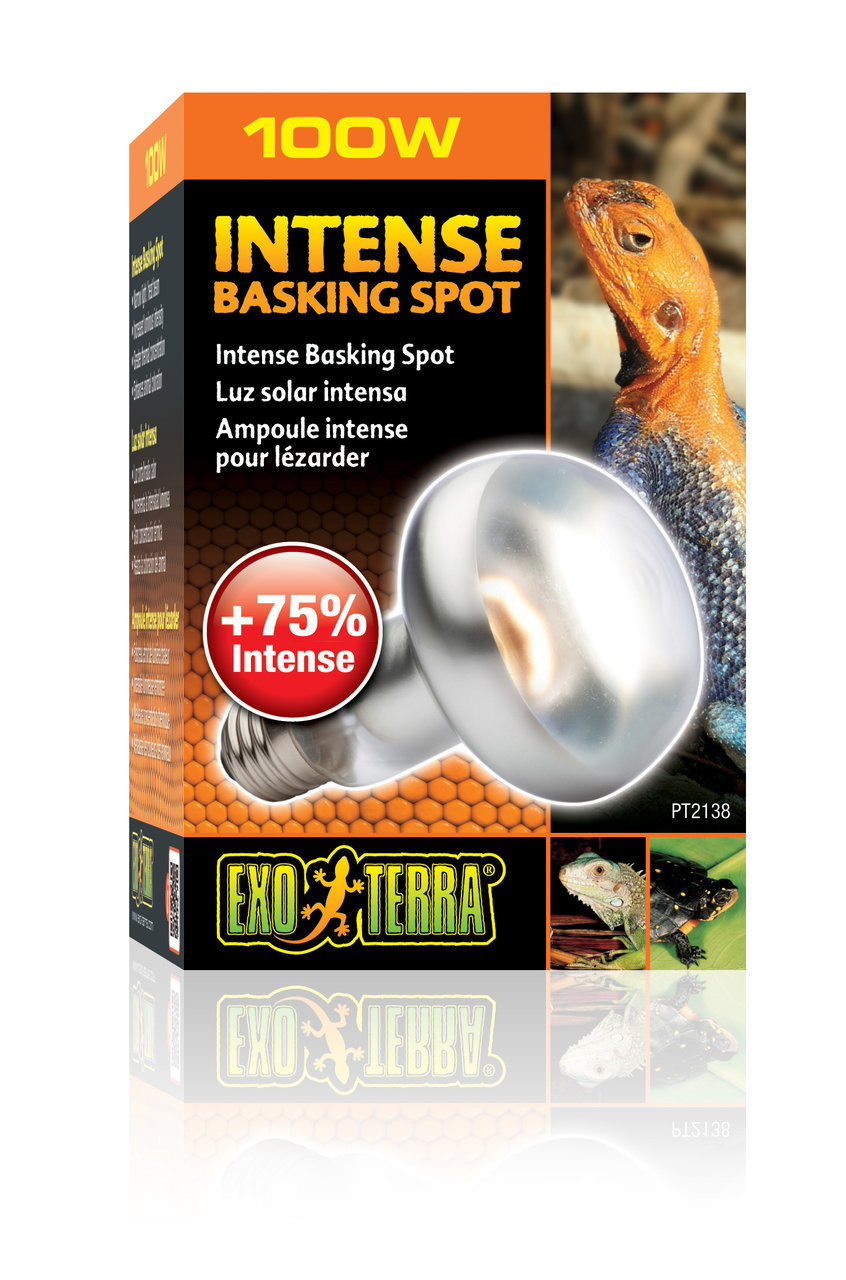 Exo Terra Intense Basking Spot 100 Watt Terrarienbeleuchtung