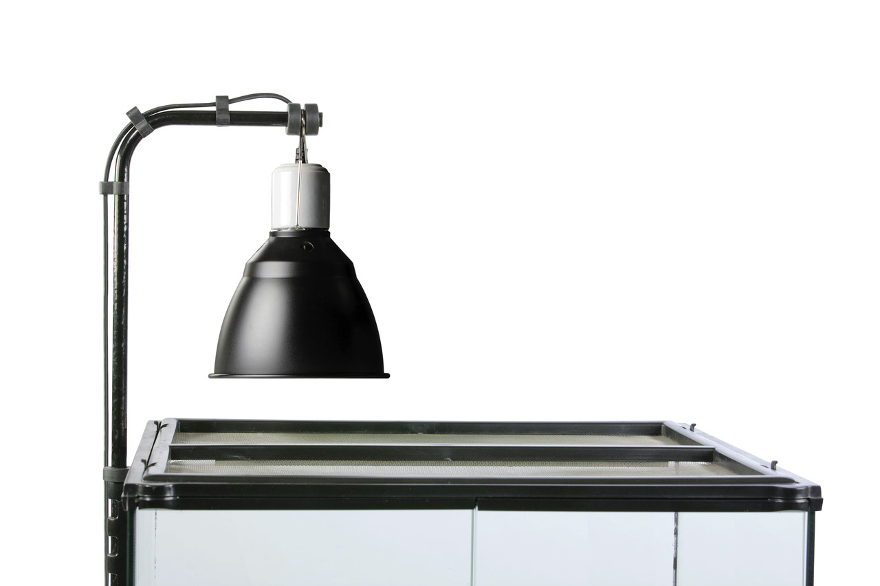 Exo Terra Lampenhalterung, schwarz, höhenverstellbar, für Reptilien, optimale Beleuchtung & Wärme, passend für Exo Terra Produkte.