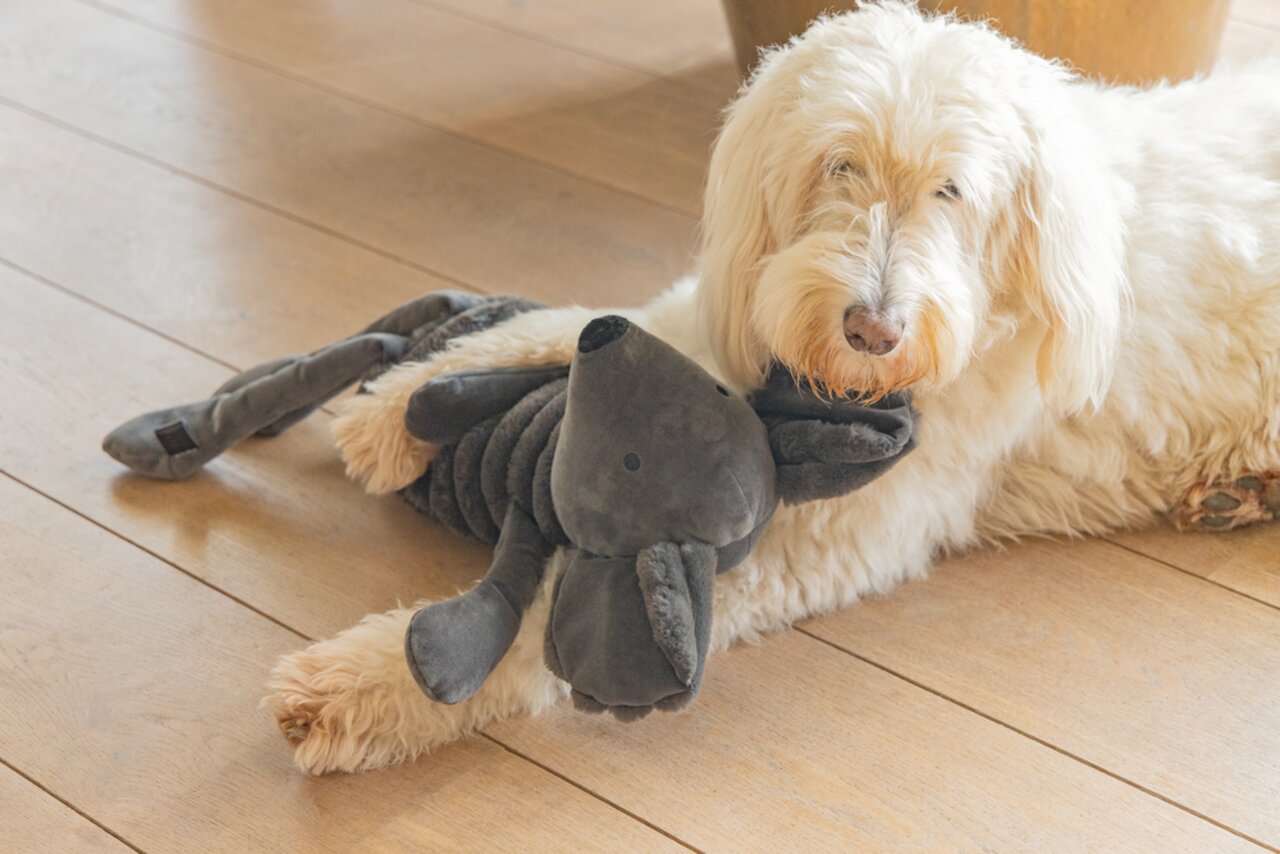 Ein Hund liegt auf einem Holzboden und hält ein schwarzes Plüschspielzeug von Designed by Lotte in Form eines Tieres im Maul.