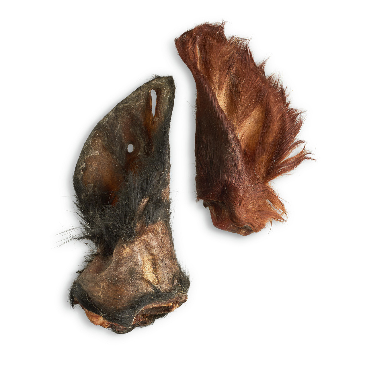 Lottis Häppchen Rinderohren m. Fell, natürl. Kausnack f. Hunde, reich an Ballastst., Zahnpflege, ideal f. mittelgr.-gr. Hunde.