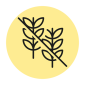 Jos Icons Grainfreeformula Yellow Black