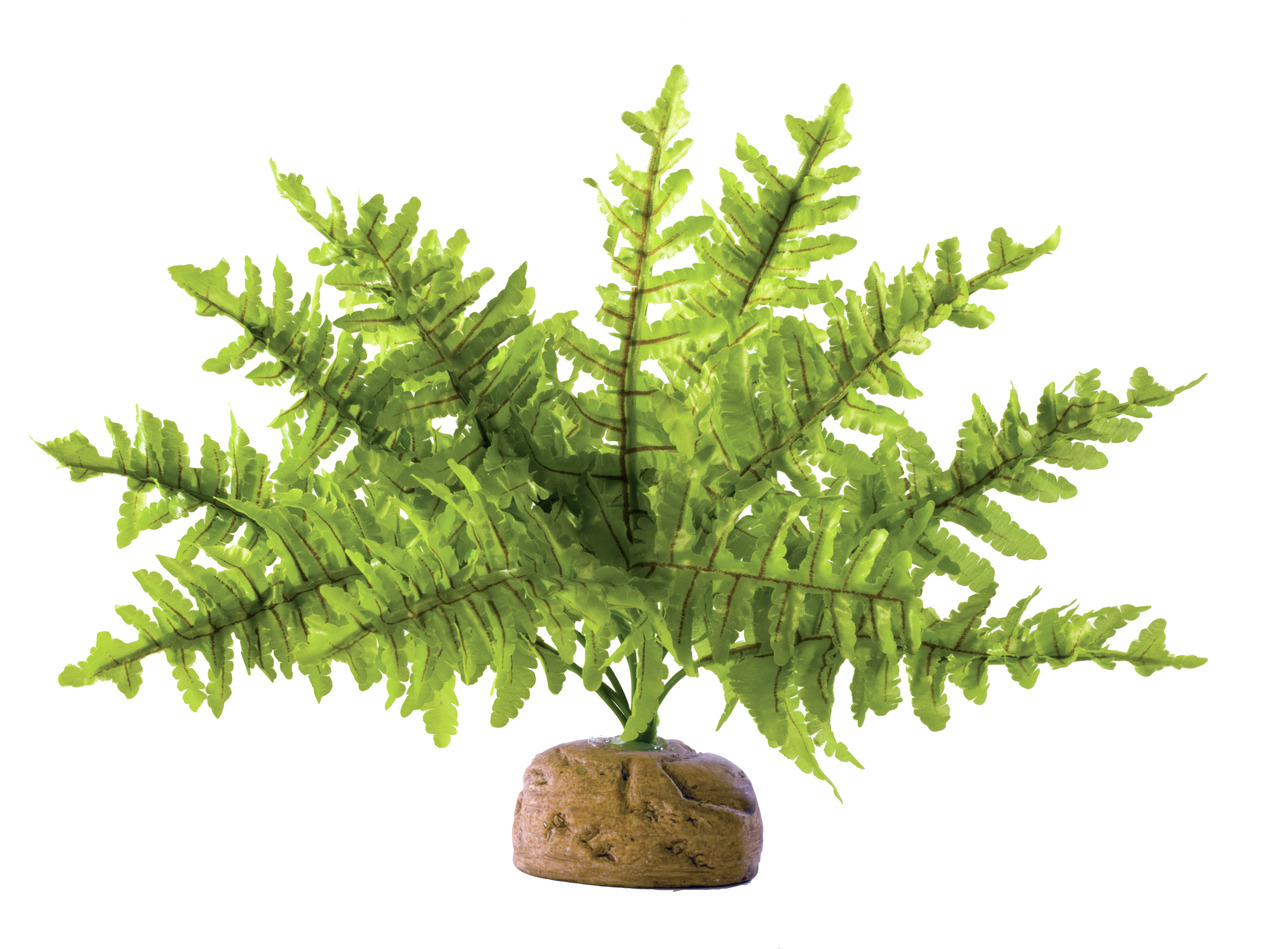Exo Terra „Boston Farn“, künstl. Pflanze für Reptilien-Amphibien, naturgetreu, Versteckmglk., natürl. Lebensraum, H: ca. 30 cm.